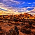 Joshua Tree desert floor