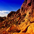 Joshua Tree Rocks